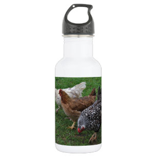 Three Amigos Stainless Steel Water Bottle