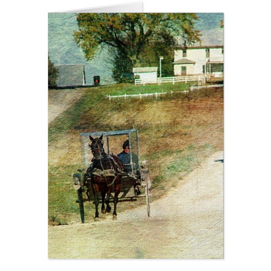 Three Amish Buggies Cards (Front)