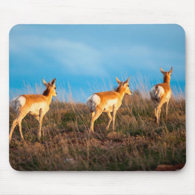 Three antelope walking away at sunset mouse pad (Front)