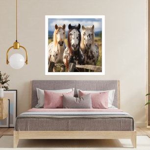 Three Appaloosa horses Photo Print