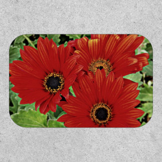 Three as they bloom in red patch