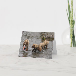 Three baby bears card