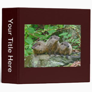 Three Baby Groundhogs 3 Ring Binder