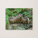 Three Baby Groundhogs Jigsaw Puzzle at Zazzle