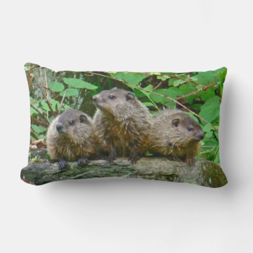 Three Baby Groundhogs Lumbar Pillow