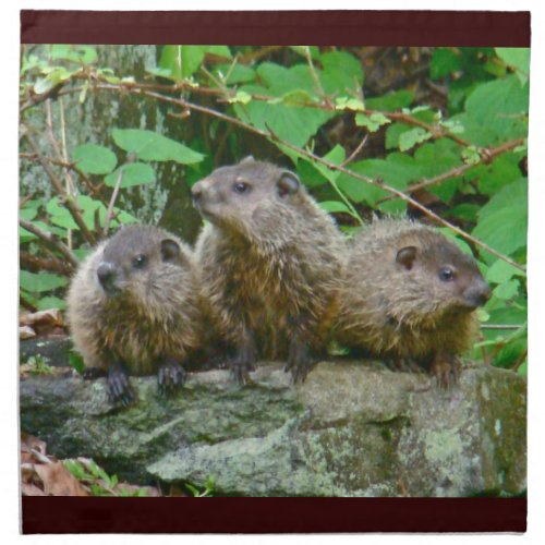 Three Baby Groundhogs Napkin