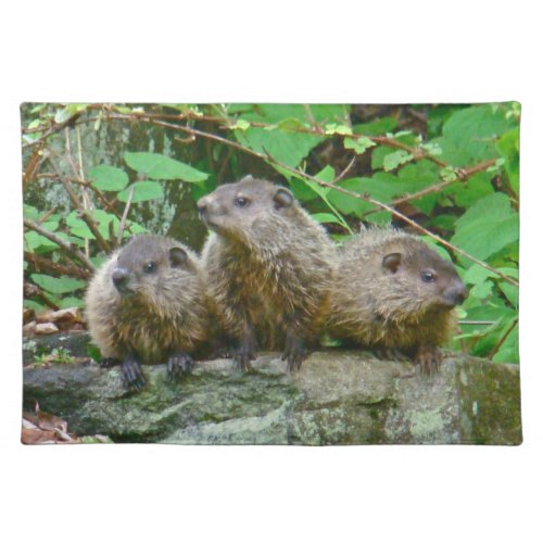 Three Baby Groundhogs Placemat