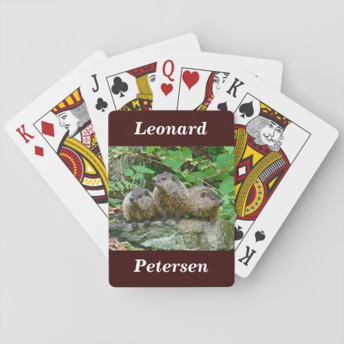 Three Baby Groundhogs Poker Cards