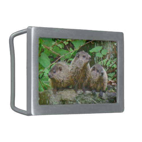 Three Baby Groundhogs Rectangular Belt Buckle