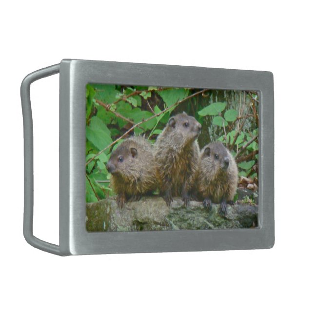 Three Baby Groundhogs Rectangular Belt Buckle (Front Left)