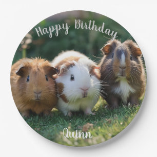 Three Baby Guinea Pigs, Paper Plates
