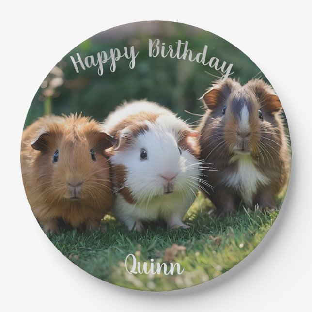 Three Baby Guinea Pigs, Paper Plates (Front)