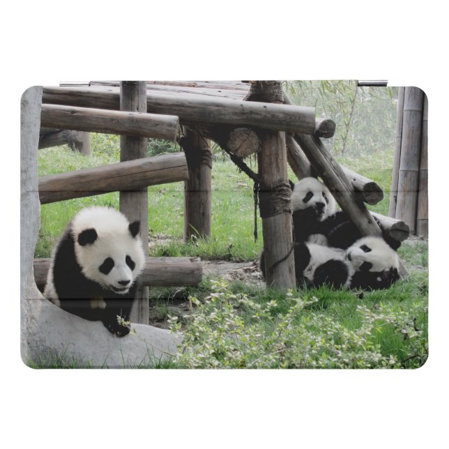 Three Baby Pandas iPad Pro Cover (Horizontal)