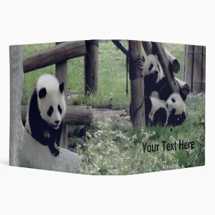 Three Baby Pandas - Personalizable 3 Ring Binder