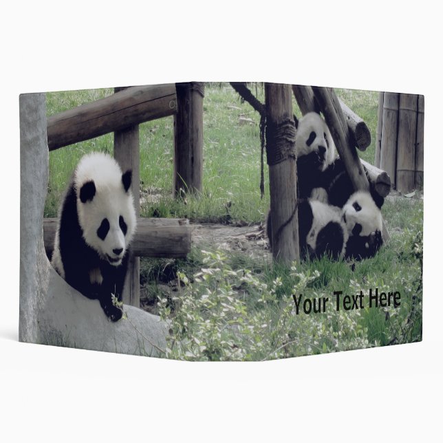 Three Baby Pandas - Personalizable 3 Ring Binder (Background)