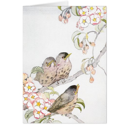 Three Baby Robins in a Cherry Tree Cards (Front)