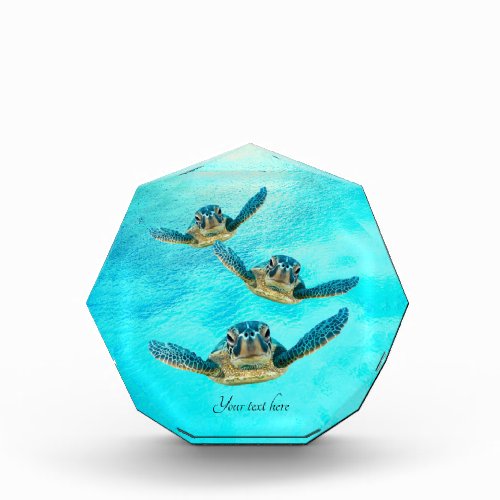 Three Baby Sea Turtles Swimming Acrylic Award