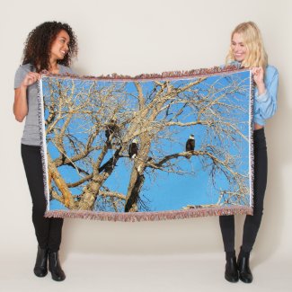 Three Bald Eagles In Tree Cozy Throw Blanket