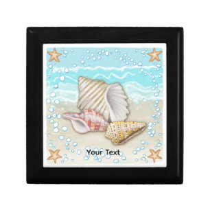 Three Beach Seashells Gift Box