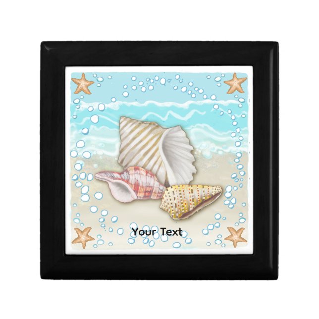 Three Beach Seashells Gift Box (Front)