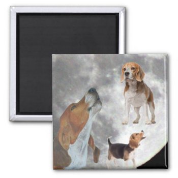 Three Beagles And The Moon Magnet by Mikeybillz at Zazzle