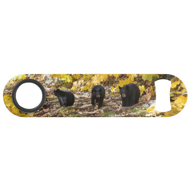 Three Bears Bar Key (Front (Horizontal))