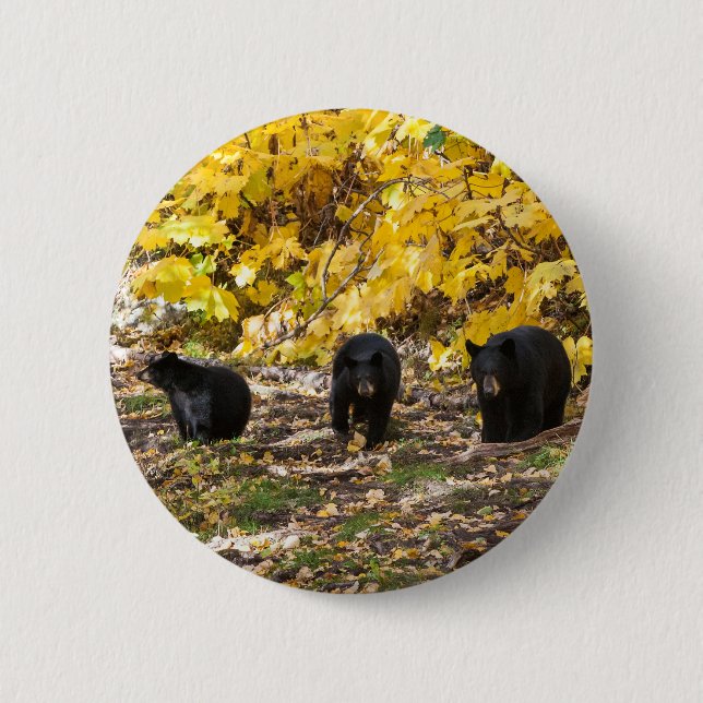 Three Bears Button (Front)