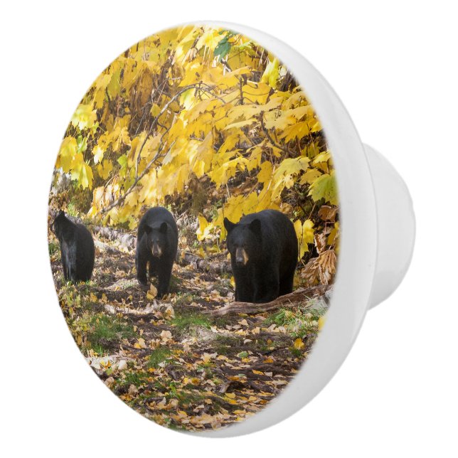 Three Bears Ceramic Knob (Right)