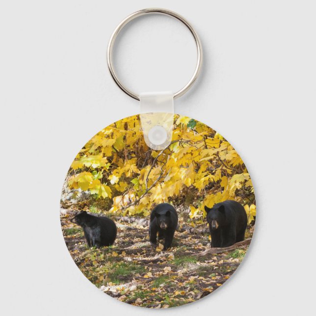 Three Bears Keychain (Front)
