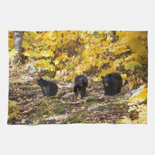 Three Bears Kitchen Towel (Horizontal)