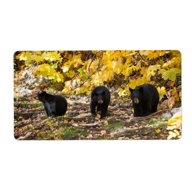 Three Bears Label (Front)