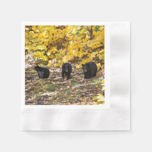 Three Bears Napkins (Front)