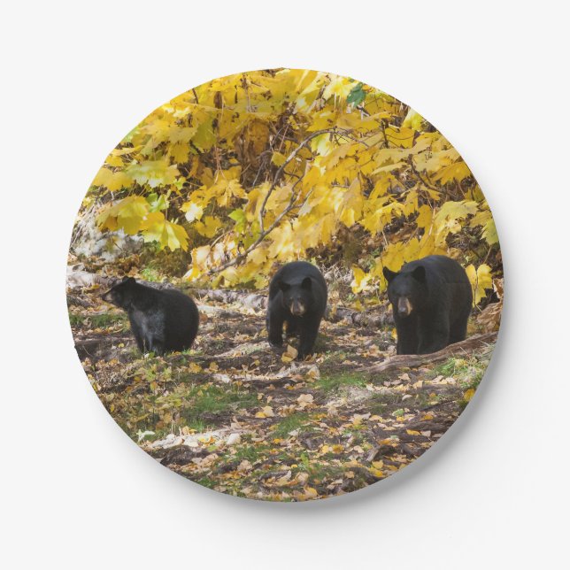 Three Bears Paper Plates (Front)
