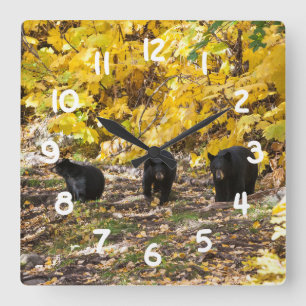 Three Bears Square Wall Clock