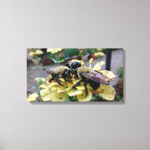 Three Bees in a Huddle on a Flower Canvas Print
