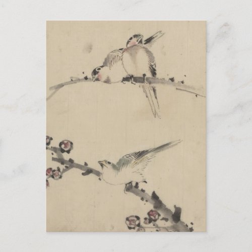 Three Birds on a Branch One with Blossoms Postcard