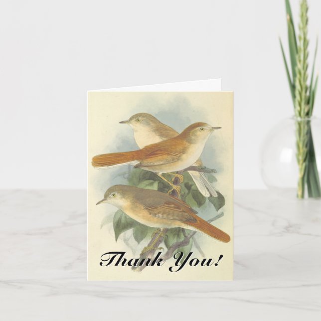 Three Birds on a Branch, "Thank You!" Card (Front)