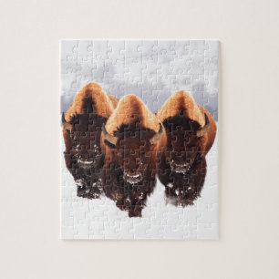 Three Bison Jigsaw Puzzle
