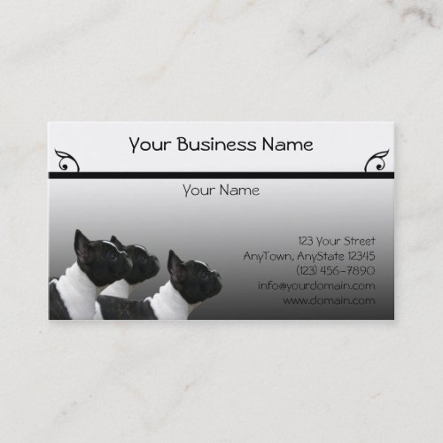 Three Black and White French Bulldogs Portrait Business Card Templates