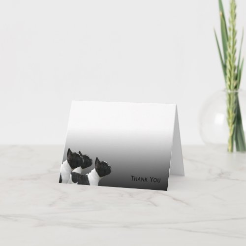 Three Black and White French Bulldogs Thank You Card