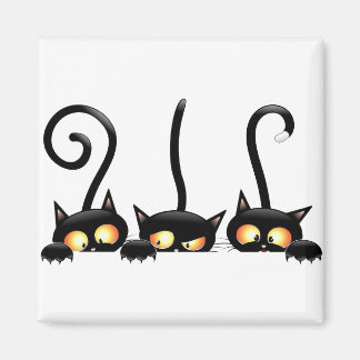 Three black cats magnet