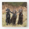Three Black Labrador retrievers