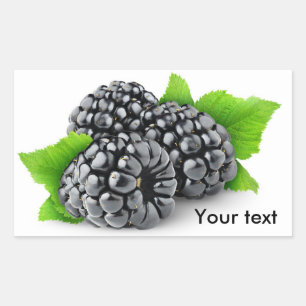 Three blackberries with leaves rectangular sticker