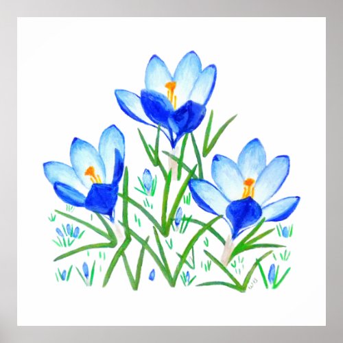 Three Blue Crocus Flowers Print