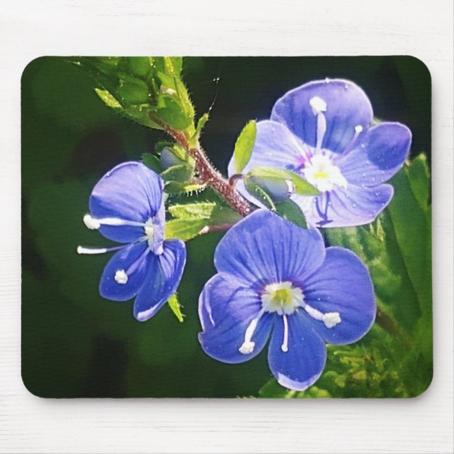 Three Blue Flowers  Mouse Pad (Front)