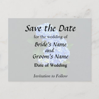 Three Blue Hydrangea Announcement Postcard