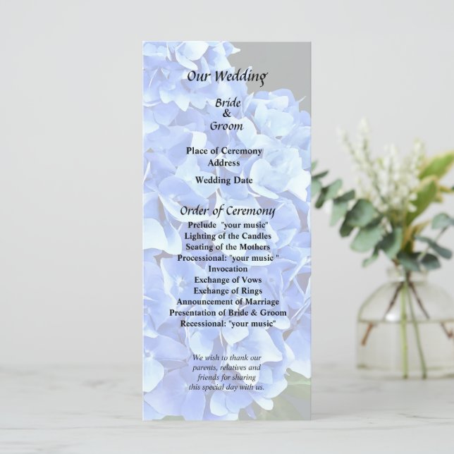 Three Blue Hydrangea Program (Standing Front)