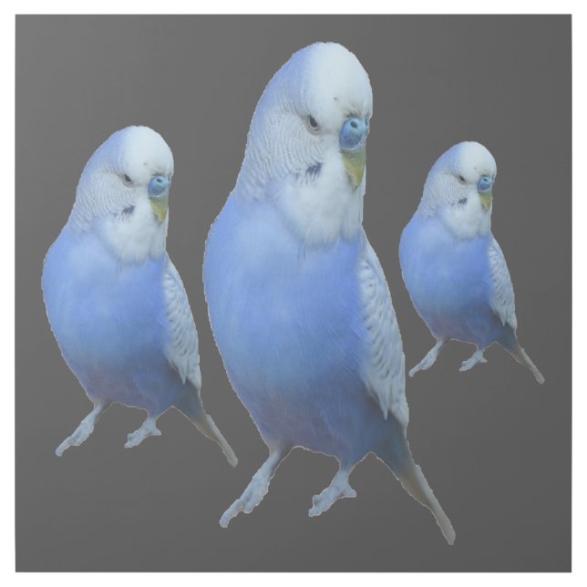 three blue wavy gallery wrap (Front)