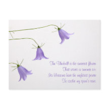 Three bluebells photo with a poem