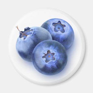 Three blueberries magnet